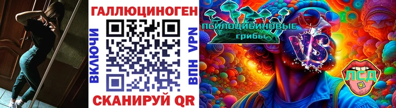 даркнет состав  Таганрог  Псилоцибиновые грибы GOLDEN TEACHER 