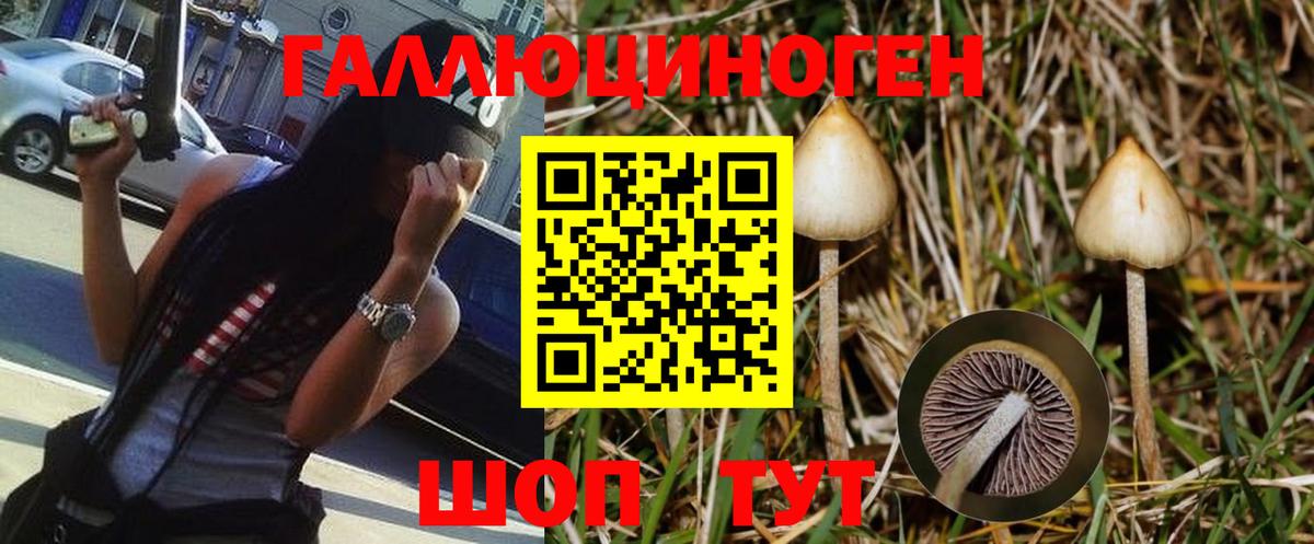Псилоцибиновые грибы MAGIC MUSHROOMS Таганрог