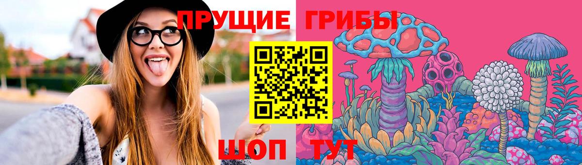 Таганрог  Псилоцибиновые грибы Magic Shrooms  Галлюциногенные грибы Magic Shrooms  Вход с VPN 