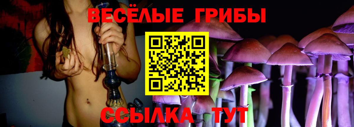 цены наркотик  Таганрог  Псилоцибиновые грибы мицелий 