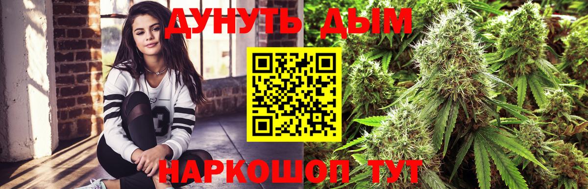 Каннабис конопля Таганрог